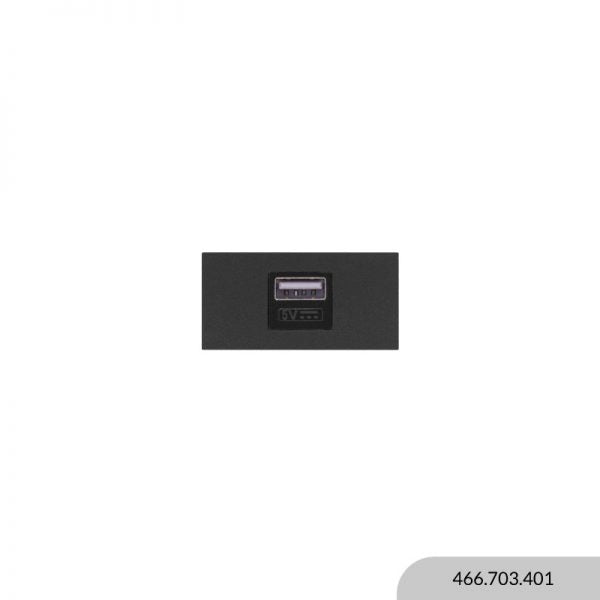 MÓDULO REGGIO CARGADOR USB 5V-2.4A